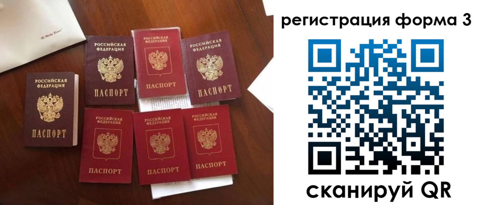 прописка 2025 в Александрове